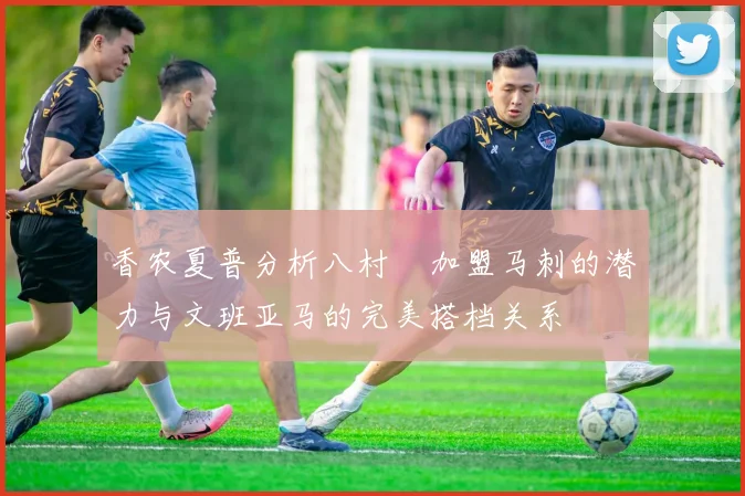 香农夏普分析八村塁加盟马刺的潜力与文班亚马的完美搭档关系
