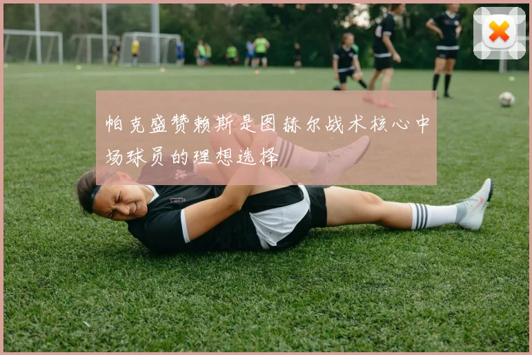 帕克盛赞赖斯是图赫尔战术核心中场球员的理想选择